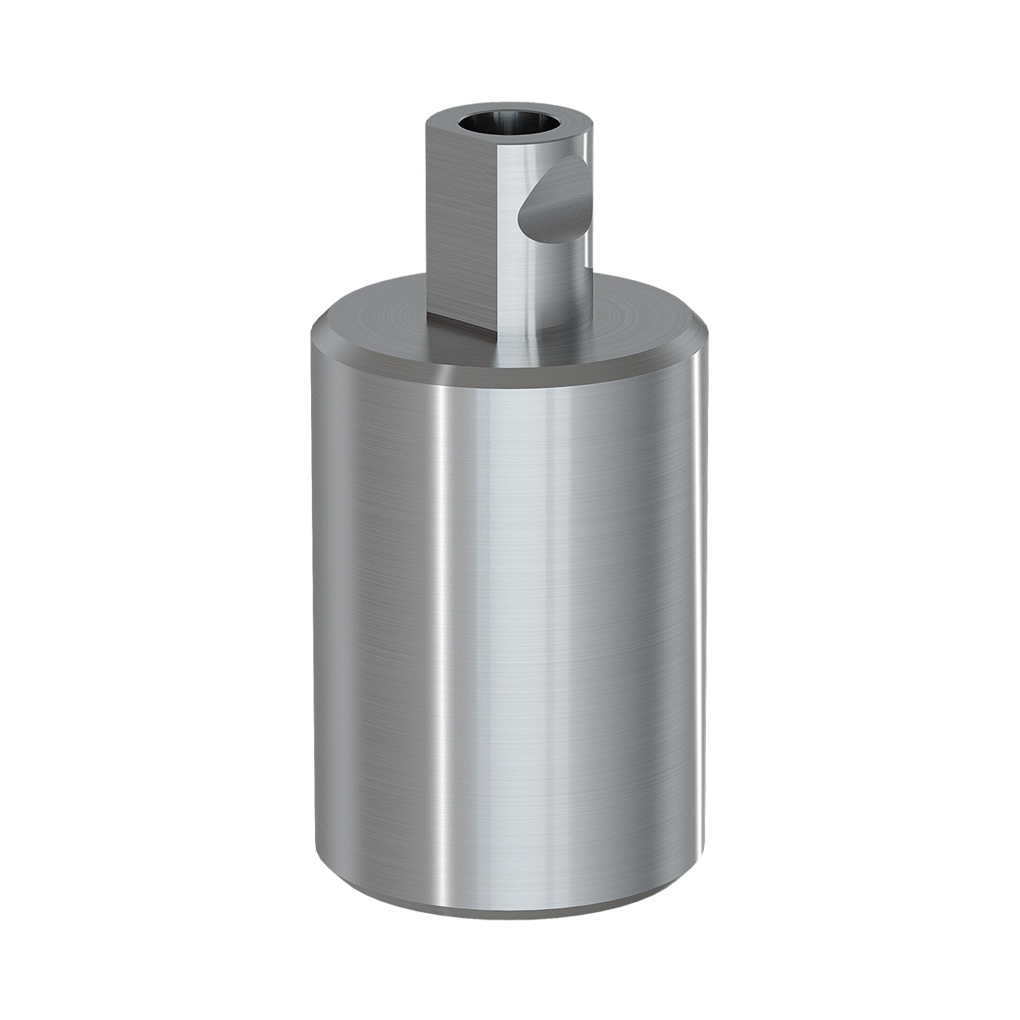Int Hex NT Trading Blank Abutments for SP | K2